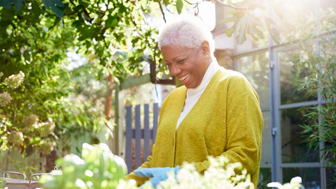 What is the Lifetime Allowance